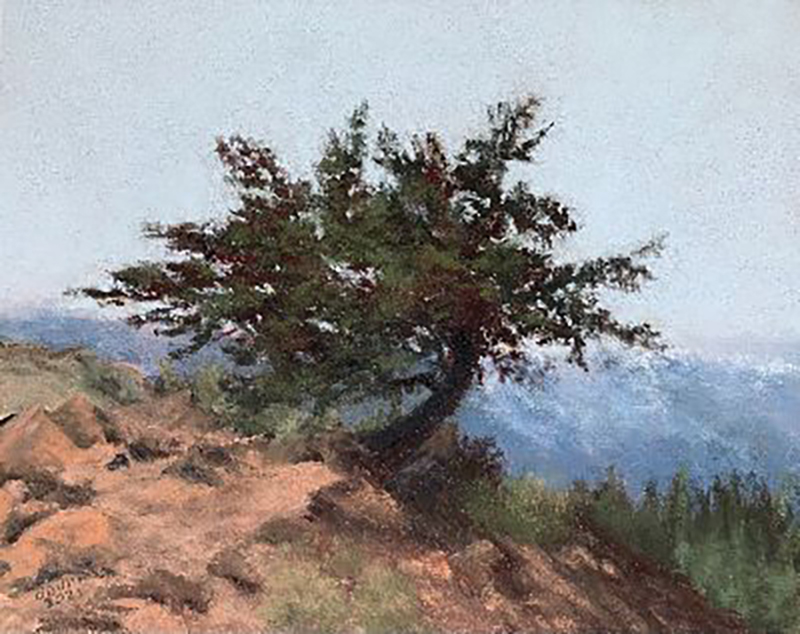 "Flagstaff Overlook" by Shannon ODunn