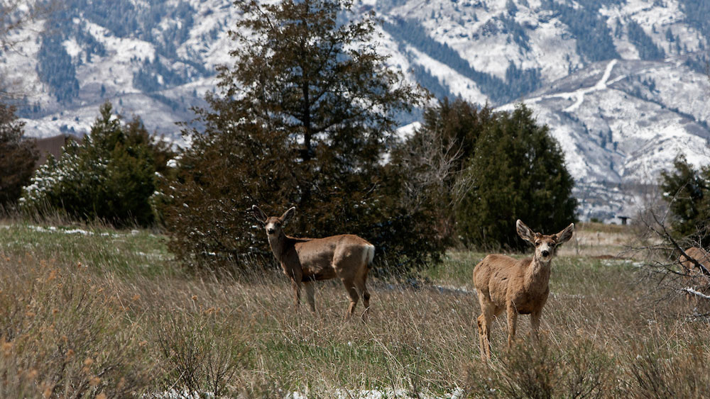 Chatfield State Park