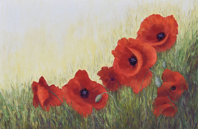 "Poppy Field" by Lorraine Roberts, 16x24", $995