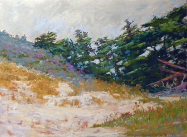 "Big Sur Pines" by Wayne Vigil