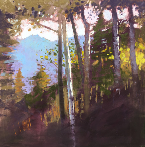 Telluride Aspens Too by Liz Haywood-Sullivan