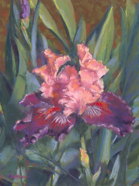 “Faith, Wisdom, Courage & Hope” by Jeannette Stutzman