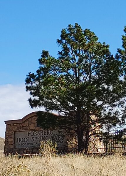 Forsberg Iron Springs