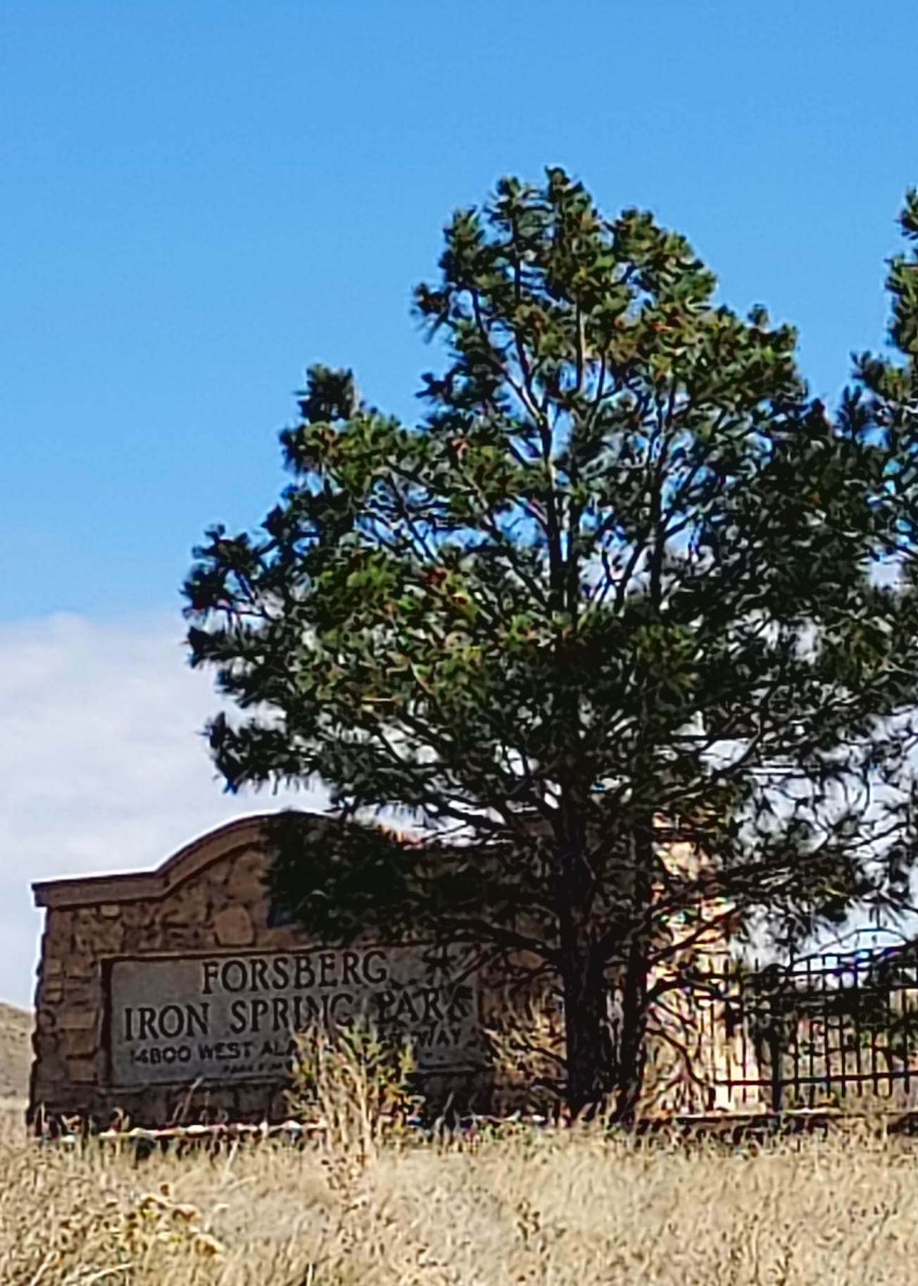 Forsberg Iron Springs