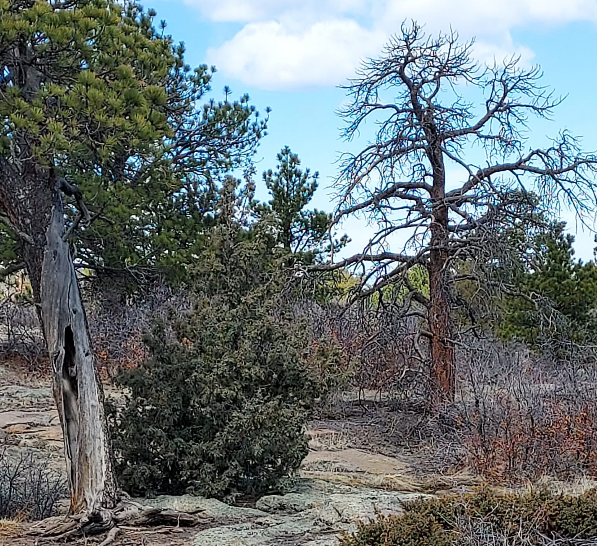 Castlewood Canyon